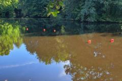IMG-20251012-WA0009