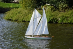 Schaufahren in Uetersen (Rosarium)