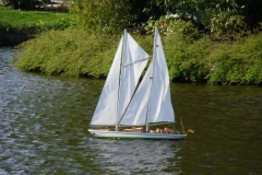 Schaufahren in Uetersen (Rosarium)