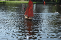 Schaufahren in Uetersen (Rosarium)