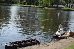 Schaufahren in Uetersen (Rosarium)